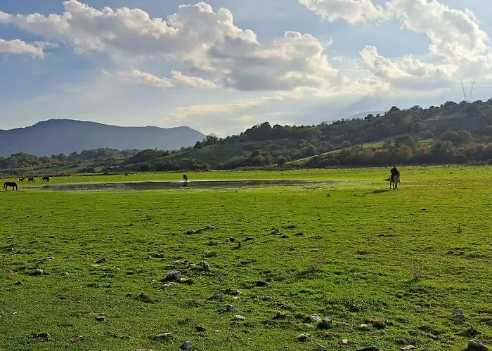 Casa Nonna Teresinella Διαμέρισμα Ateleta